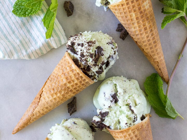 Mint Chocolate Ice Cream